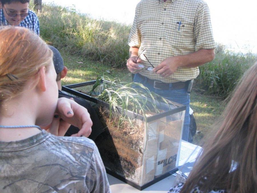 Carter County Eco Day soil & worms station